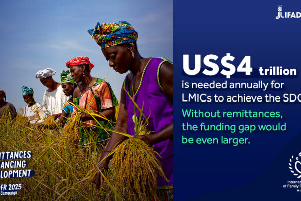07_IDFR2025_4trillionSDGs_e