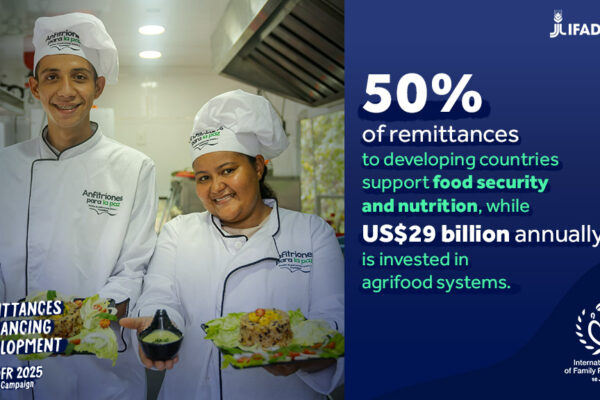 08_IDFR2025_50_foodsecurity_e